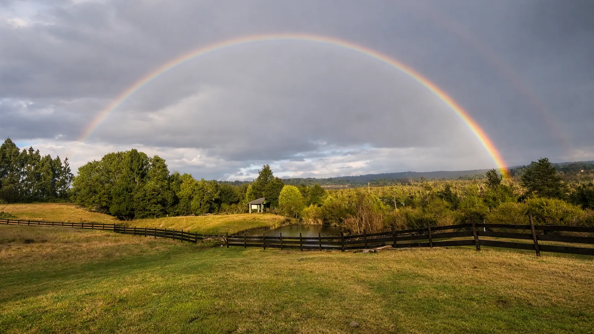 top-galpon-de-las-ovejas-4