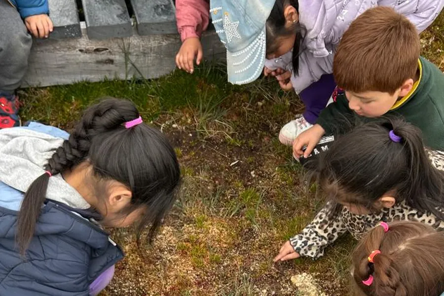 programas-de-educacion